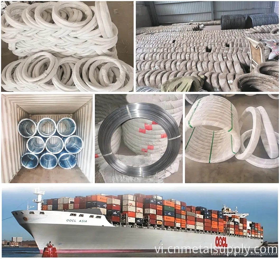 Galvanized Iron Wire